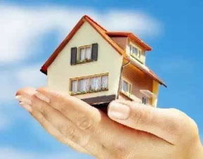 东莞37家房产中介上“黑榜” 炒房、暴力冲突与假公章乱象调查